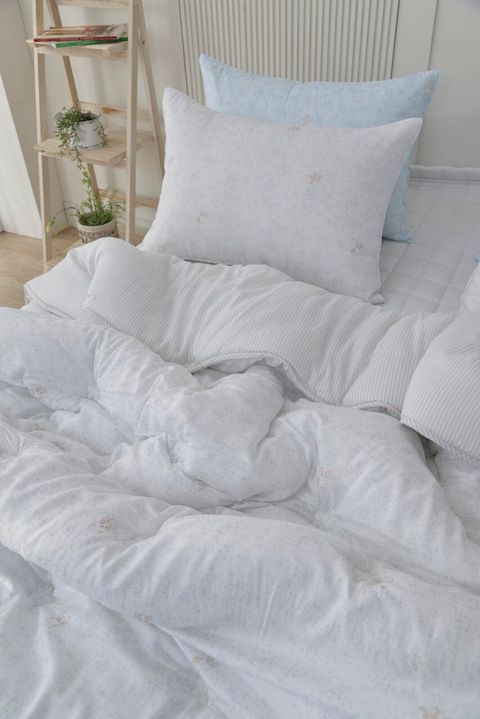 아띠침장_照片_20260122_41