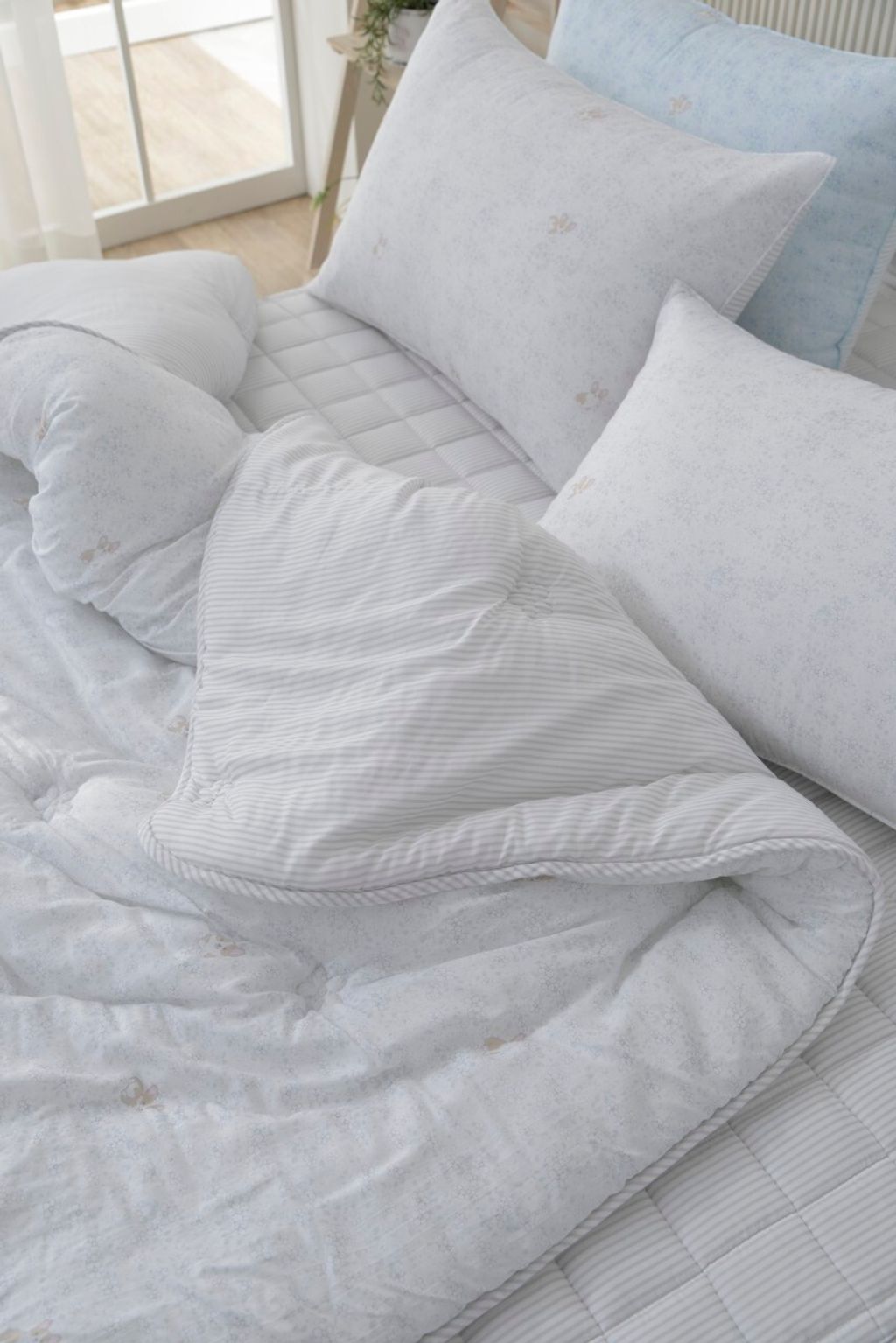 아띠침장_照片_20260122_43