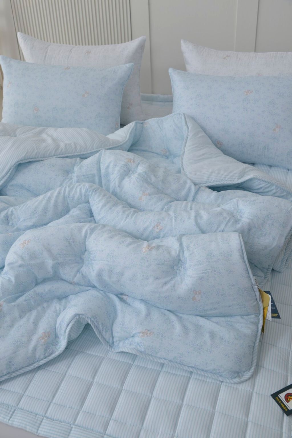 아띠침장_照片_20260122_10