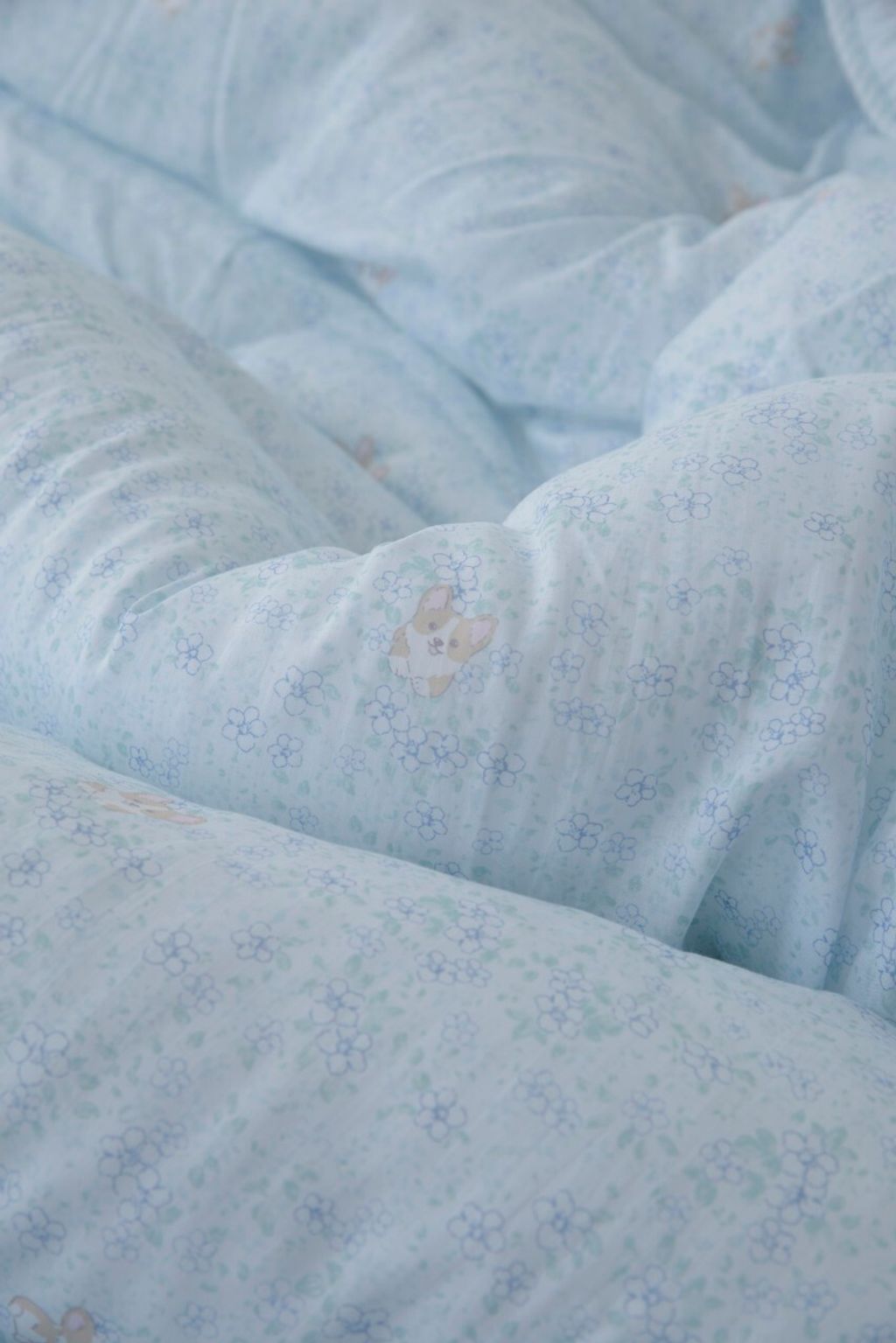 아띠침장_照片_20260122_18