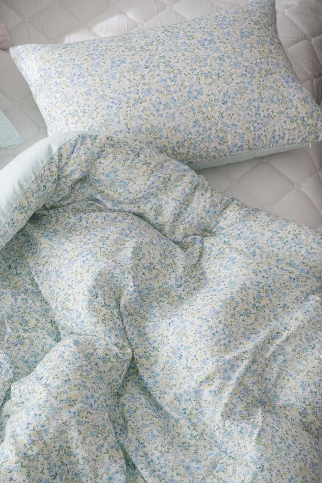 SONG HWA INDECO_照片_20260130_33