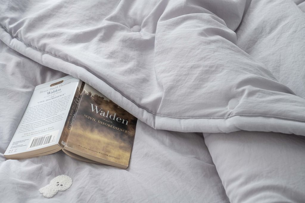 SONG HWA INDECO_照片_20260211_12