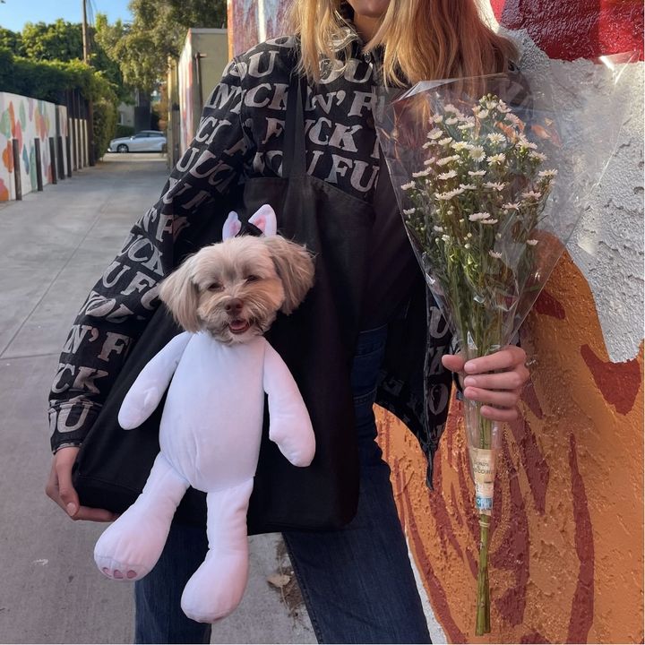 pet tote bag1