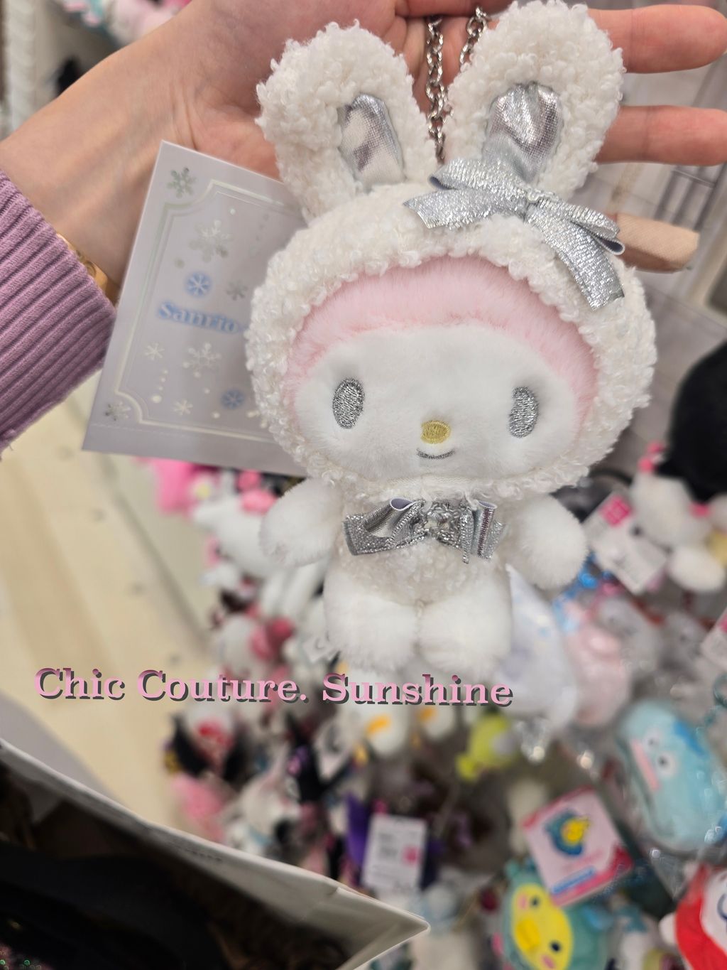 sanrio keychain20250120_123046