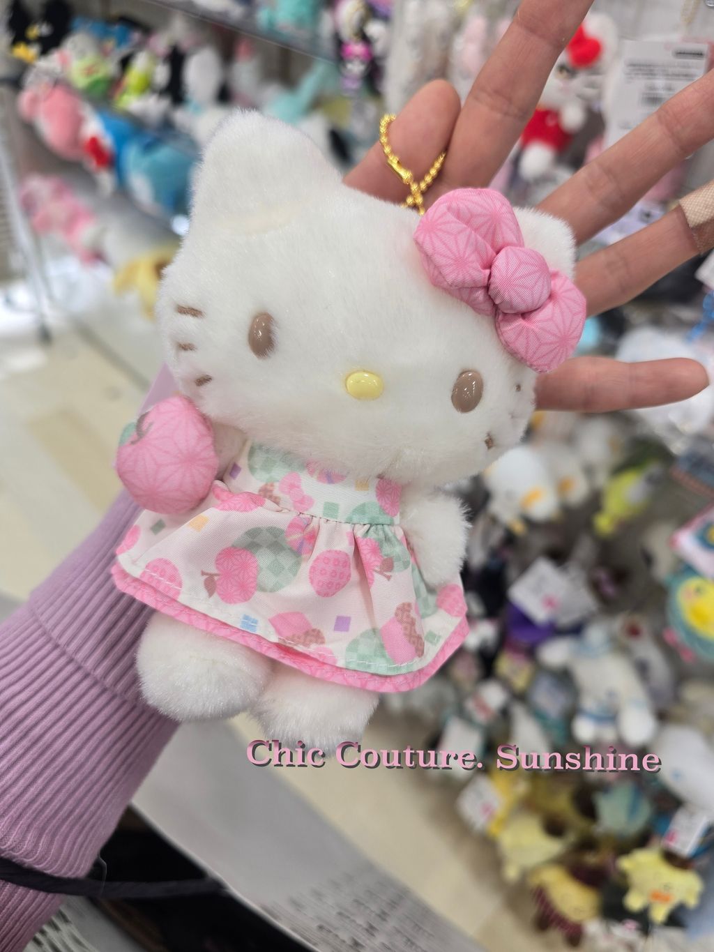 sanrio keychain20250120_122914