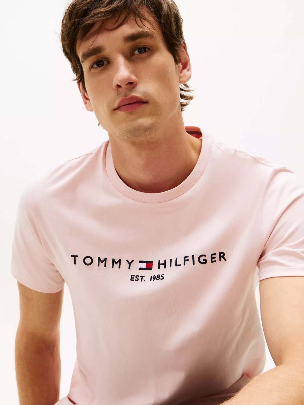 tommy men's logo tee 2