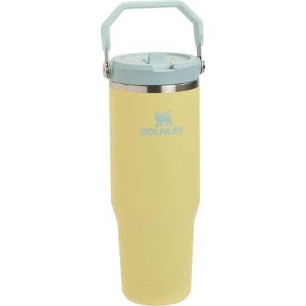 Stanley IceFlow with Flip Straw Tumbler - 30 oz. 