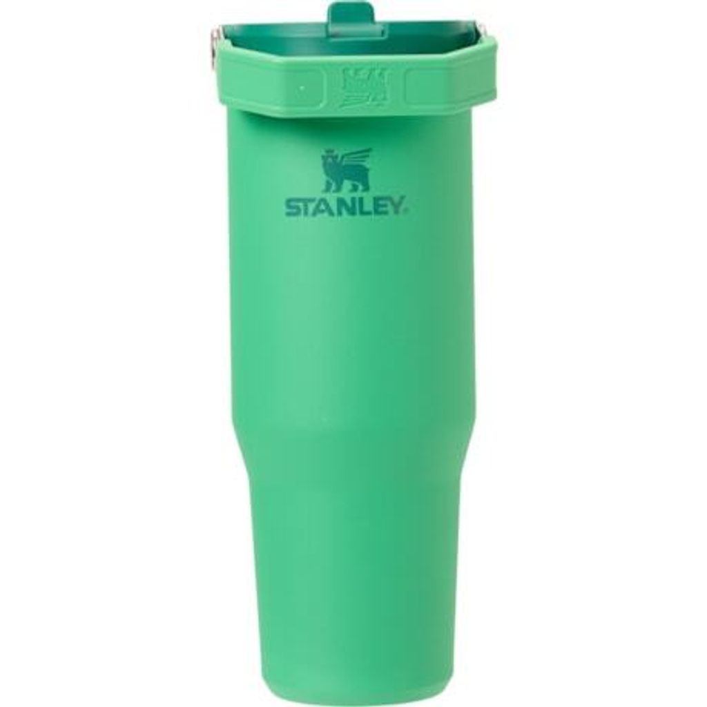 Stanley IceFlow with Flip Straw Tumbler - 30 oz.  2