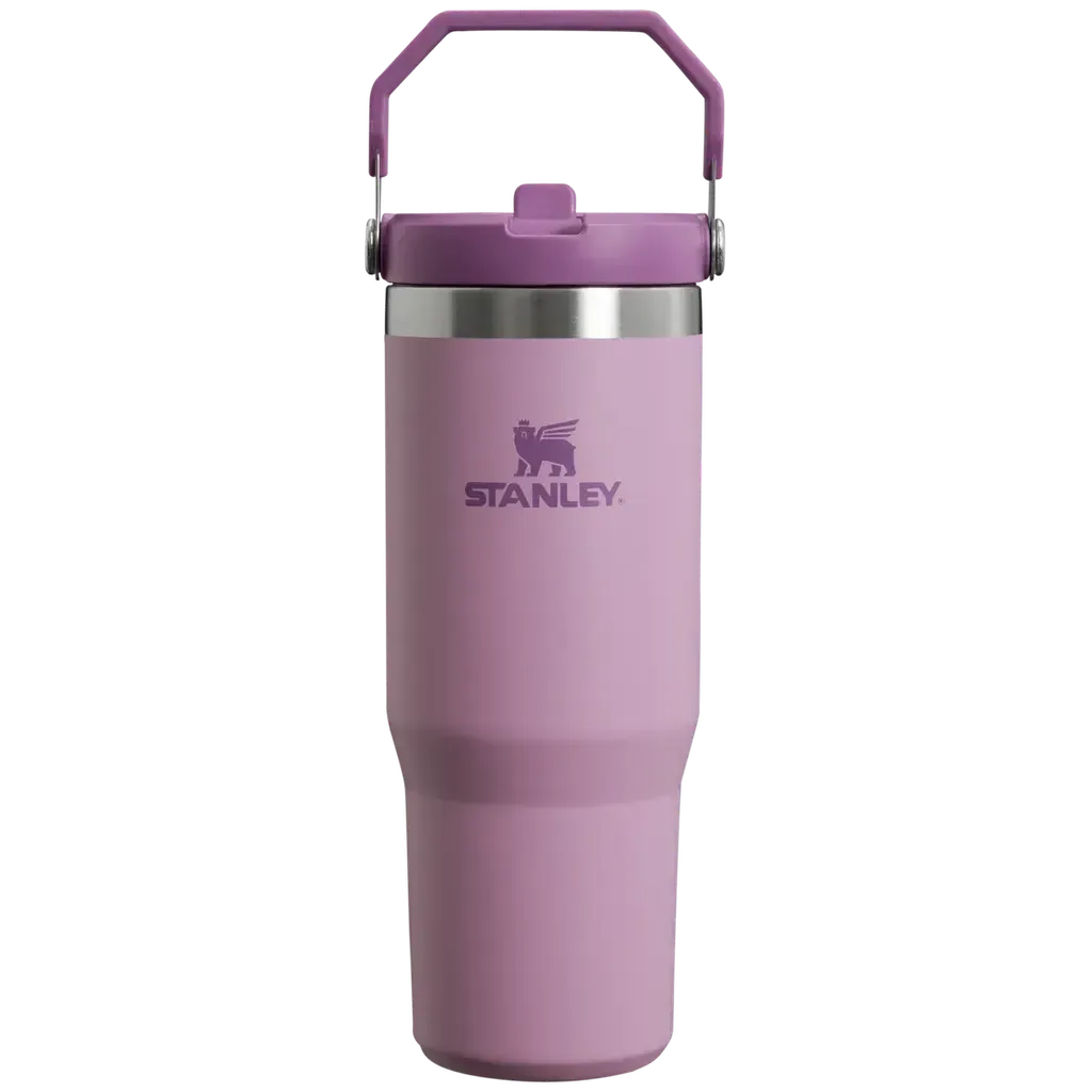 Stanley The IceFlow Flip Straw Tumbler