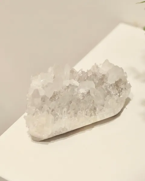 S__6856759_0