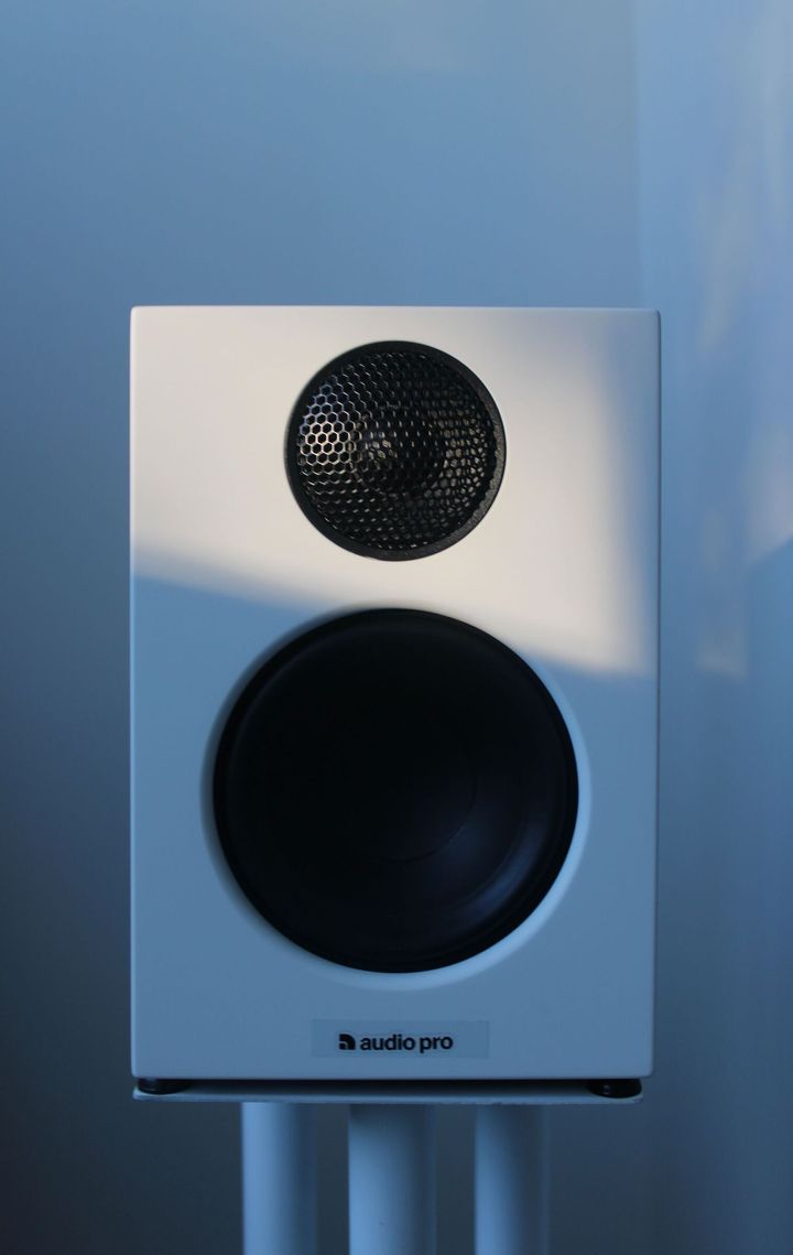trude-jonsson-stangel-Bt4EUmDwghg-unsplash
