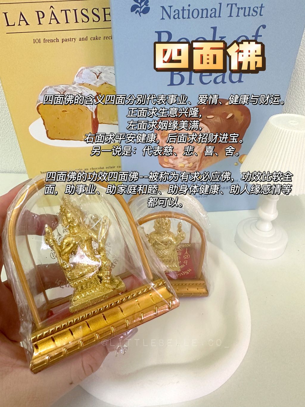 IMG_0537-1716895398585