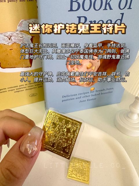 IMG_0913-1717563566738