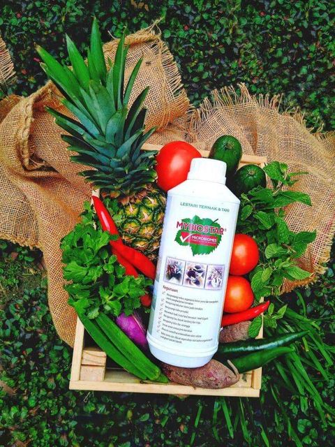 f4bff60b-5bb9-4e44-b836-7247c7a53f3c