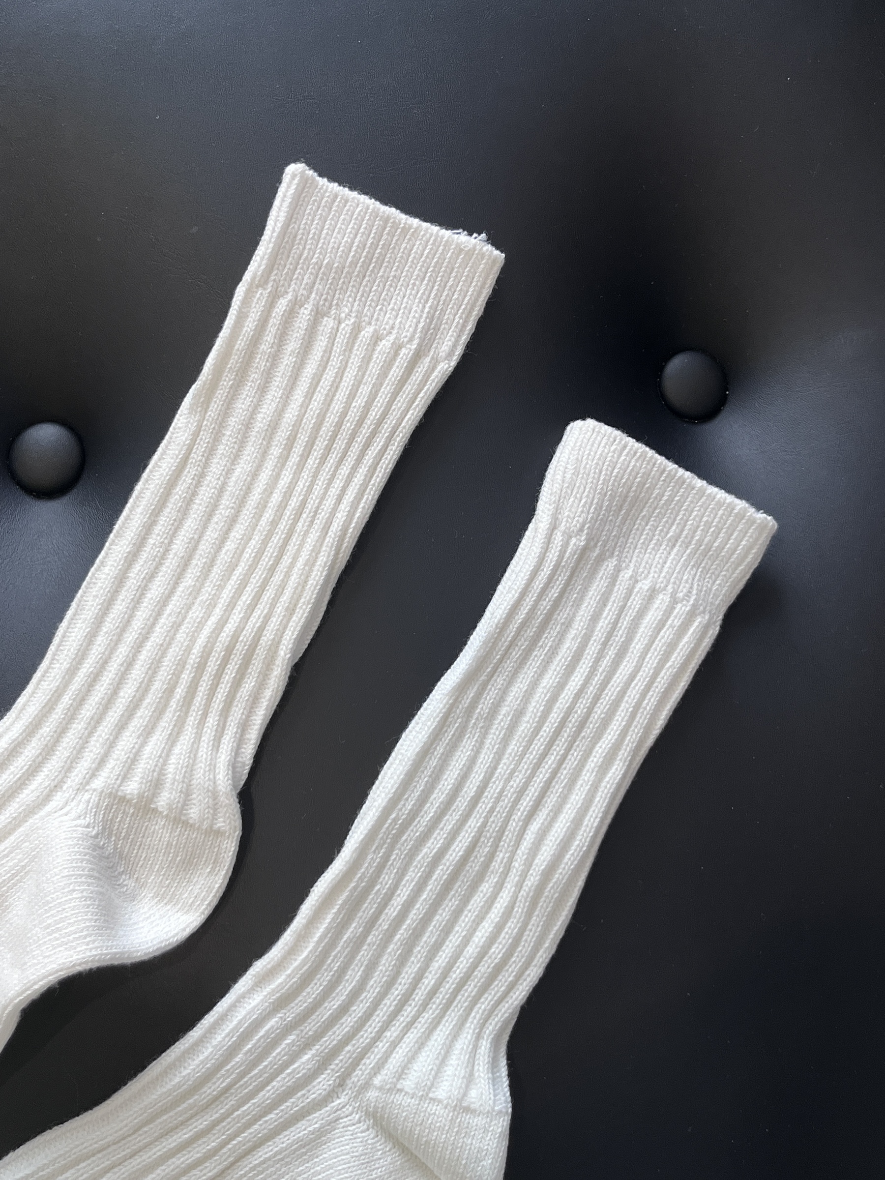 IMG_6888-1695966837615