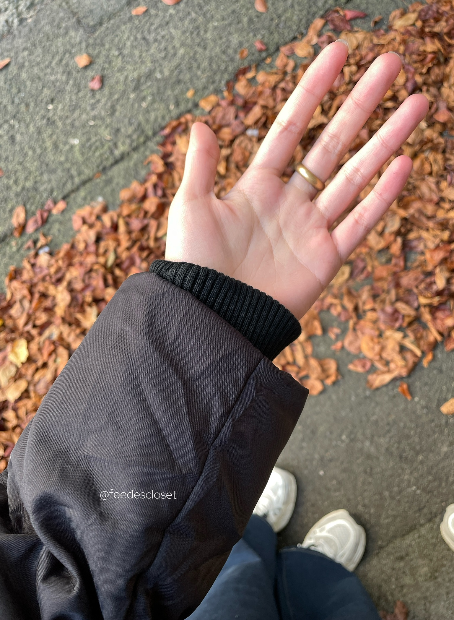 IMG_7722-1730065012244