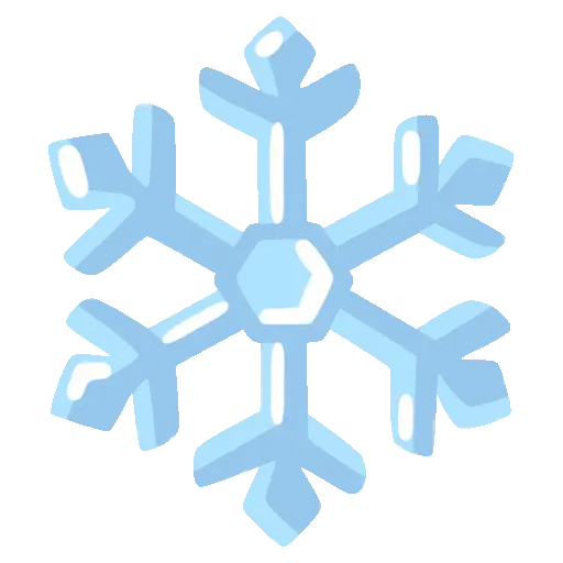 48小时内寄出 | Bluesnow