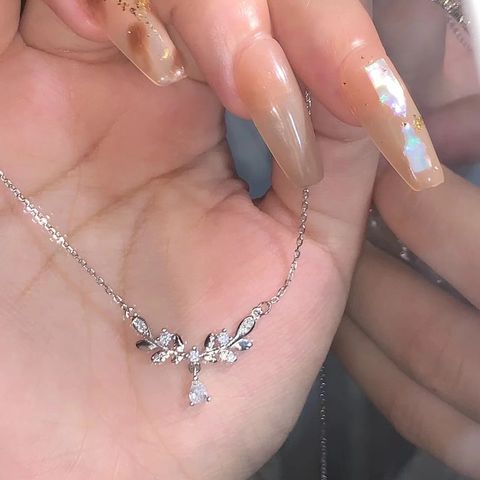 IMG_8493-1705983582328