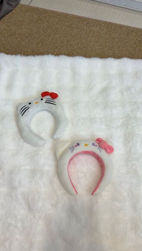 image_0E8CBD65-9B05-4FB2-BF92-45C3E8836D8F_1764262916