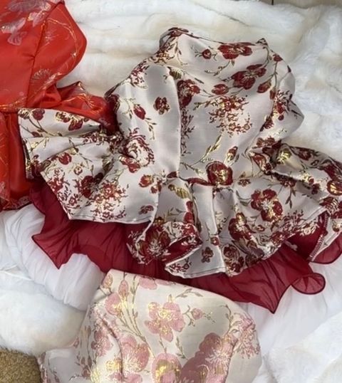 image_58846093-9527-4ED5-92A4-9DE902D08332_1766559658