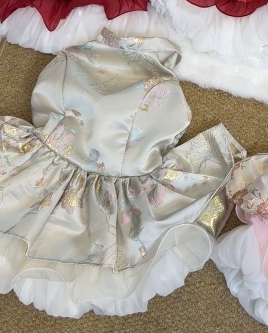 image_61597C75-AC97-4B74-AF03-6FA8B63FB1AF_1766559658