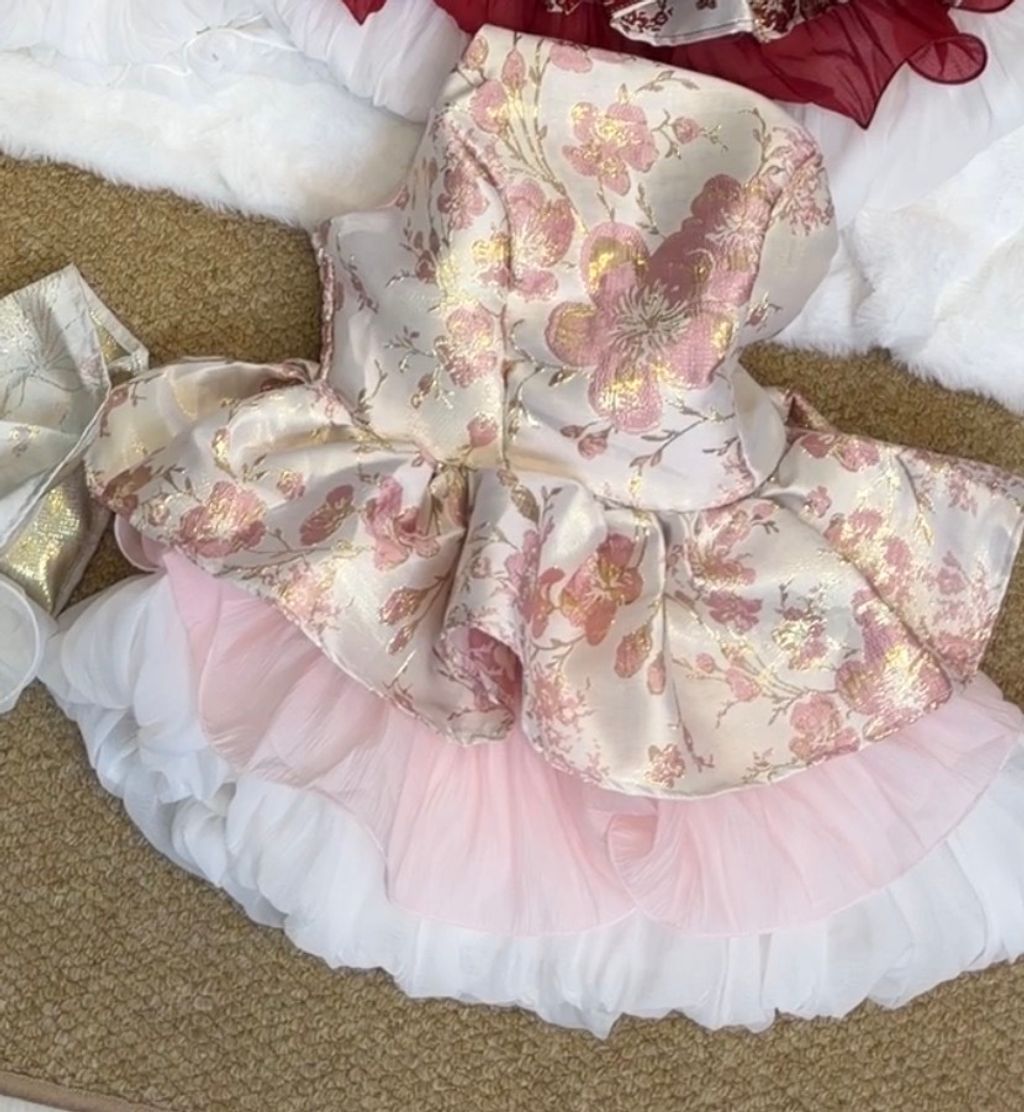 image_759C9809-C7D6-46DE-A13A-6E4C76D249AF_1766559658