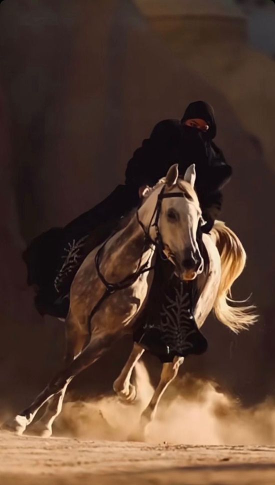 EVERYTHING YOU'RE INTO | Abayaheaven