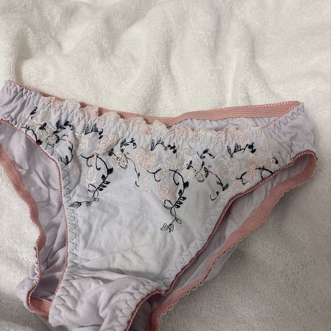 A2.藍粉花朵藤蔓內褲