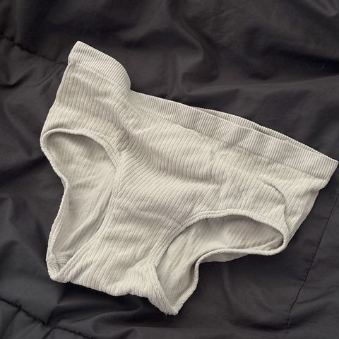A2.純色直條棉質內褲