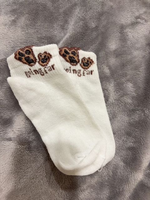 LINE_ALBUM_新上架襪子_251106_1