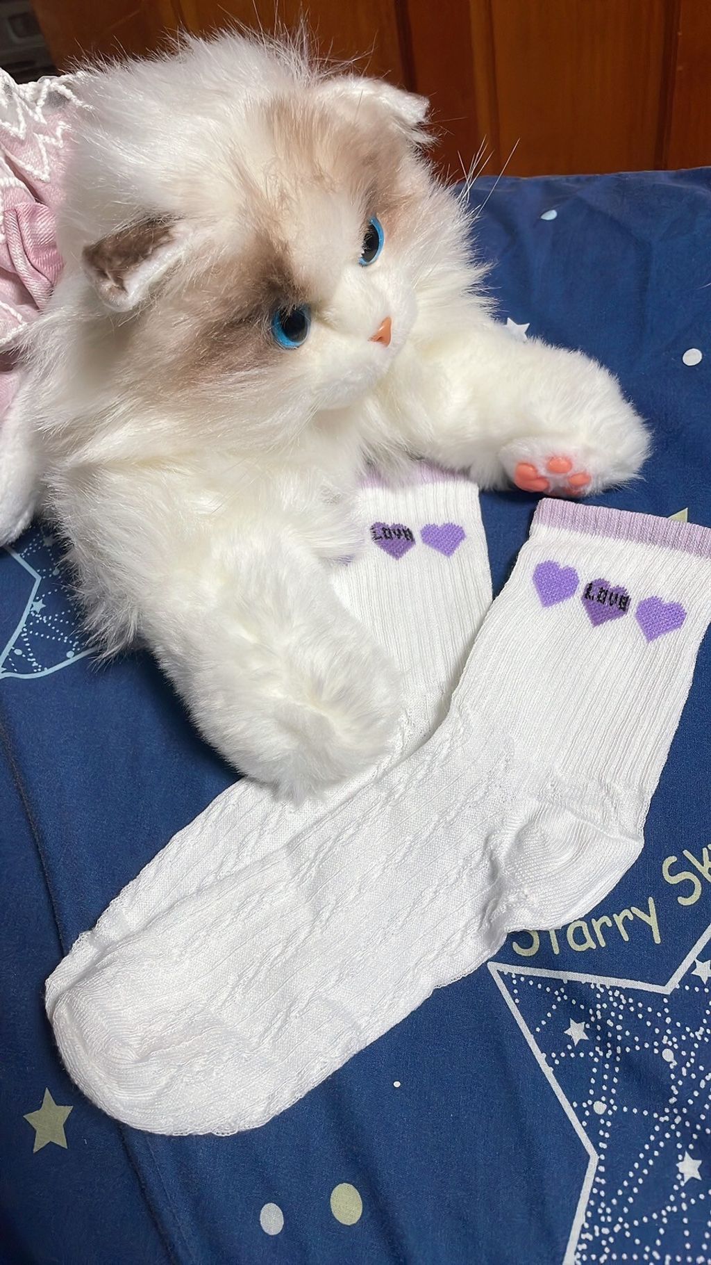 LINE_ALBUM_內褲 襪子 內衣 單_251208_1