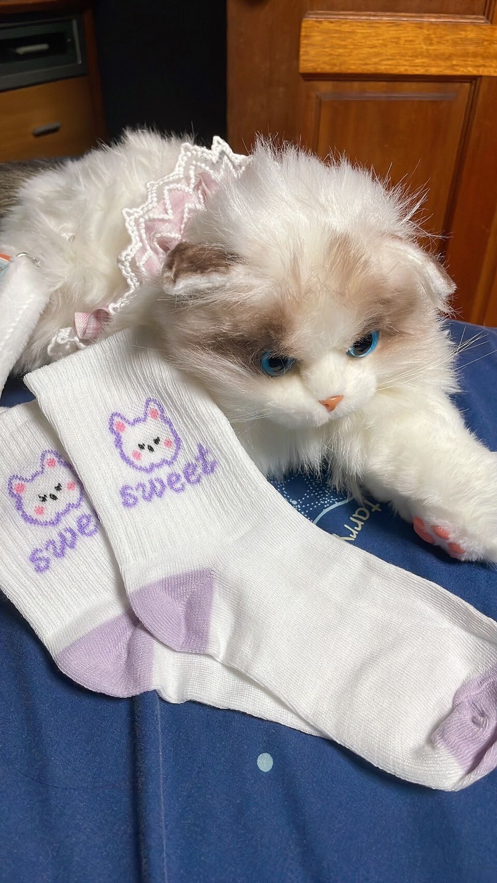 LINE_ALBUM_內褲 襪子 內衣 單_251208_2