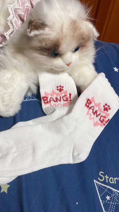 LINE_ALBUM_內褲 襪子 內衣 單_251208_3