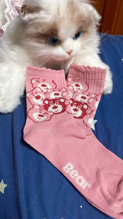 LINE_ALBUM_內褲 襪子 內衣 單_251208_4