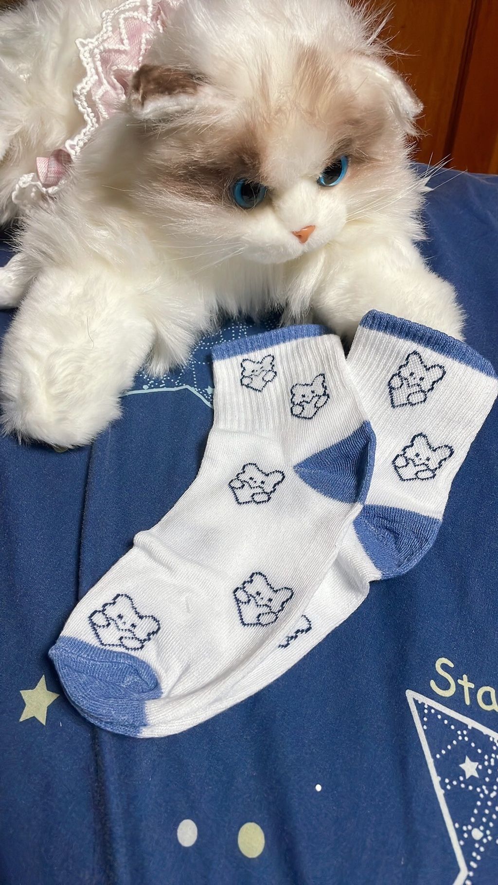 LINE_ALBUM_內褲 襪子 內衣 單_251208_1