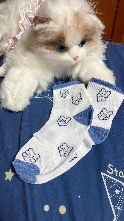 LINE_ALBUM_內褲 襪子 內衣 單_251208_1