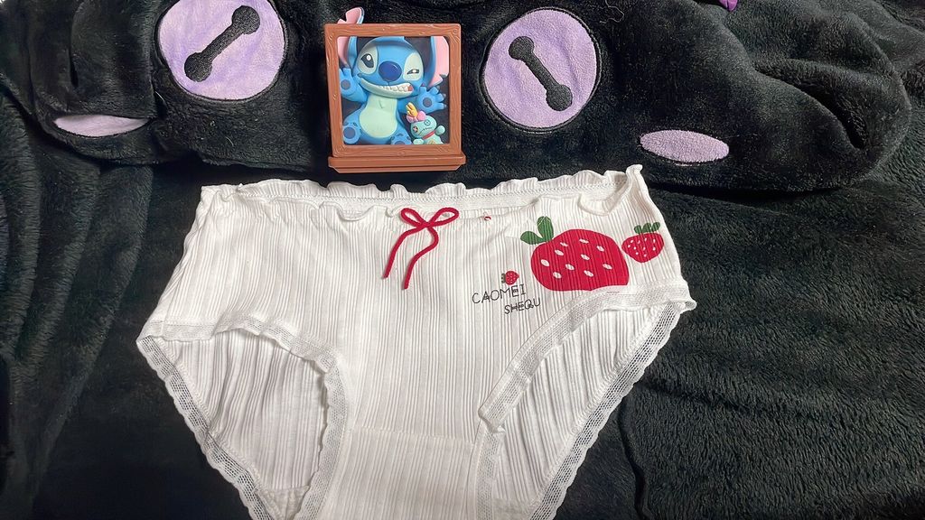 LINE_ALBUM_內褲 襪子 內衣 單_251208_1