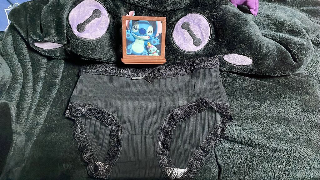 LINE_ALBUM_內褲 襪子 內衣 單_251208_3