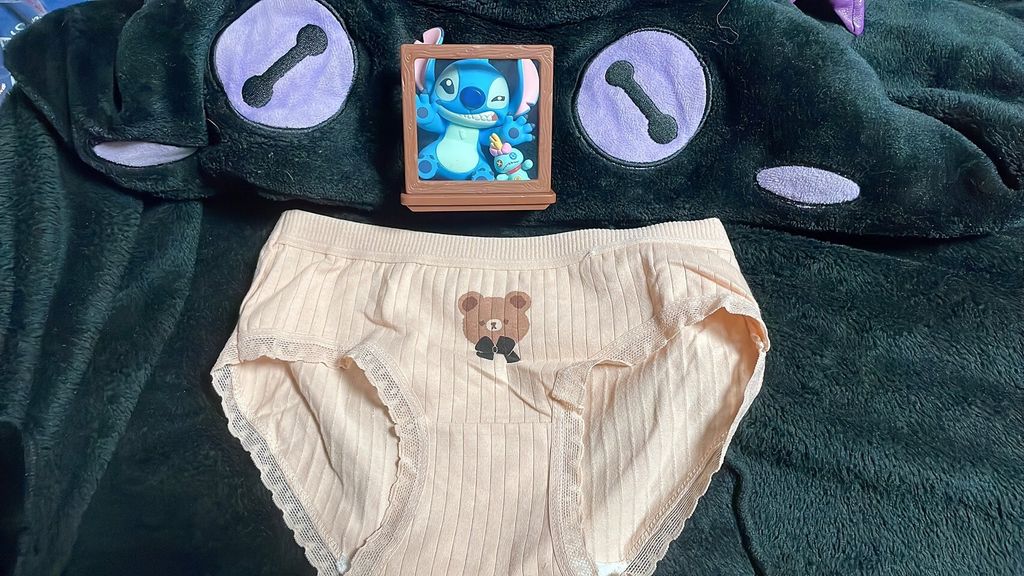 LINE_ALBUM_內褲 襪子 內衣 單_251208_4