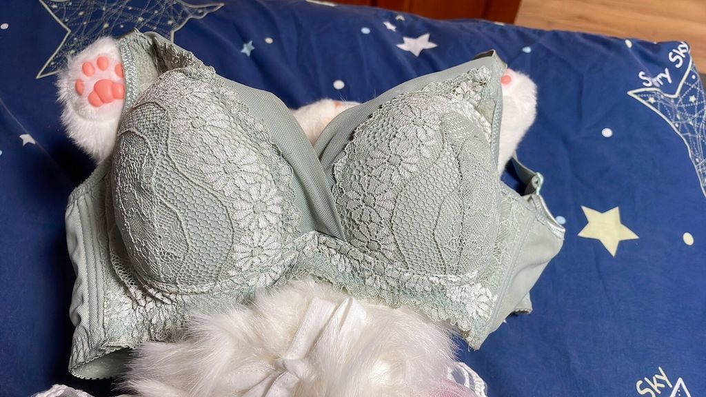 LINE_ALBUM_內褲 襪子 內衣 單_251208_8