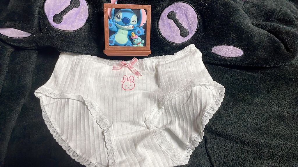 LINE_ALBUM_內褲 襪子 內衣 單_251208_7