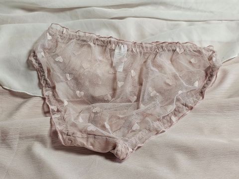 20-2_網紗_可愛清純_透膚_橘粉