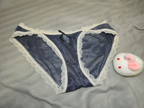 A1.藍色蕾絲邊透紗低腰內褲00
