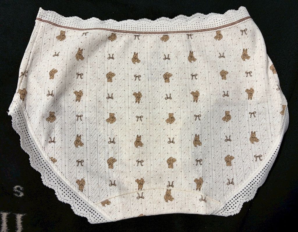 LINE_ALBUM_棉質泰迪熊內褲 550贈穿照4張_260210_1