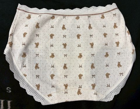 LINE_ALBUM_棉質泰迪熊內褲 550贈穿照4張_260210_1