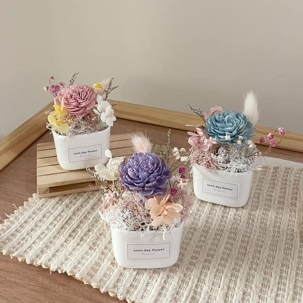 358629892_6415395321884523_6377134780957876123_n