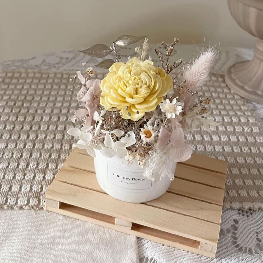 358542971_6425119254245463_3988970759450829232_n