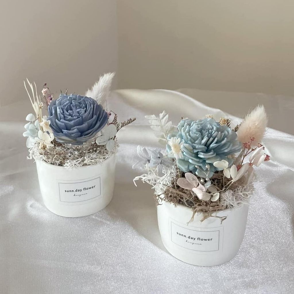 412916873_7013230242101025_1683907098373359007_n