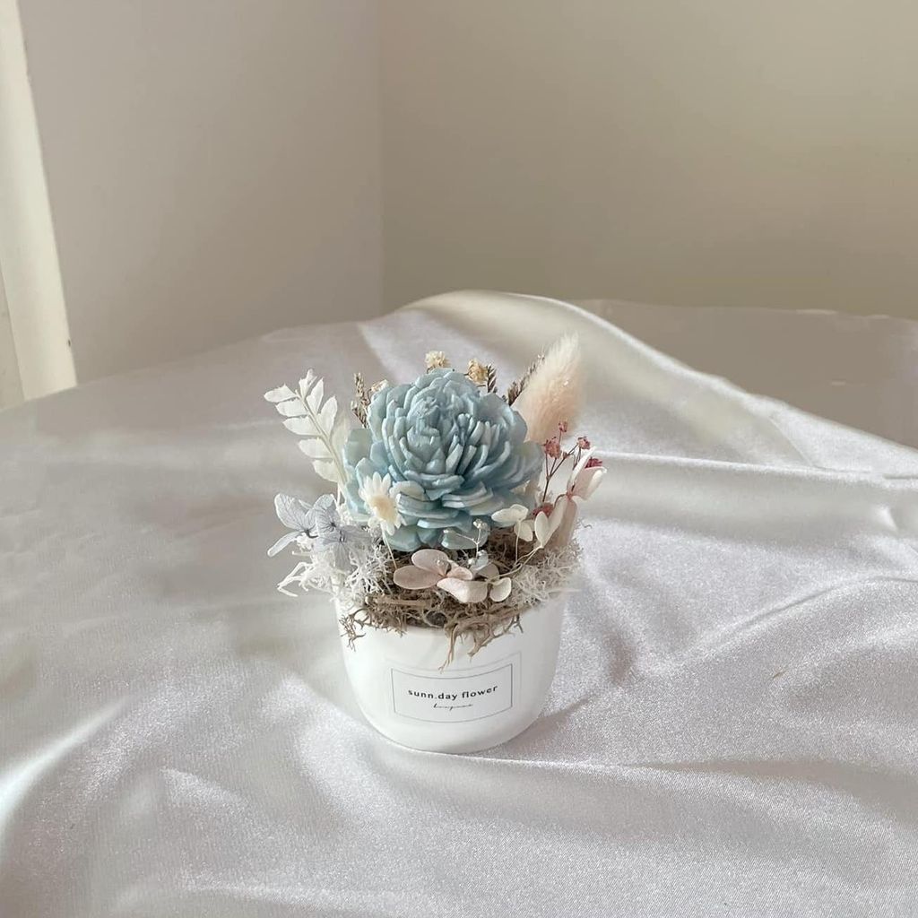 412902806_7013322222091827_7089266892062663186_n