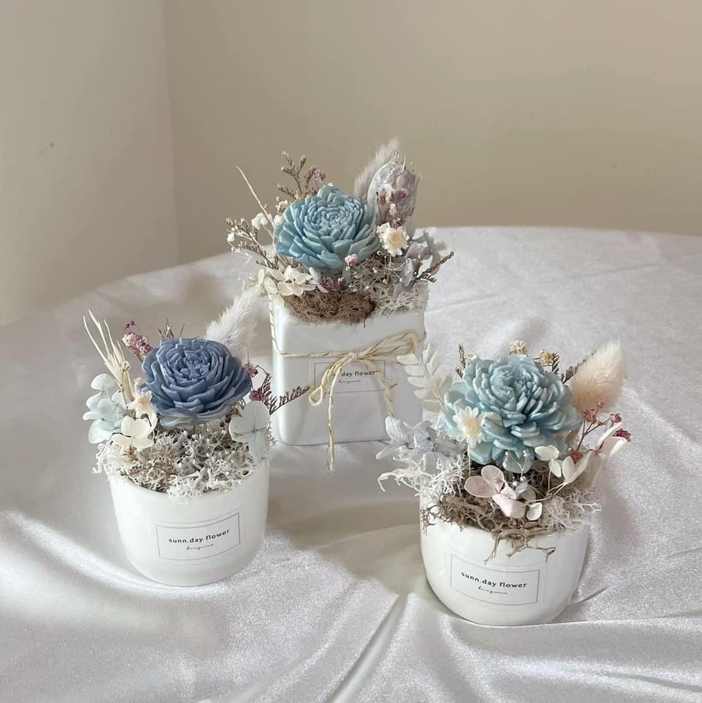 412900491_7013230858767630_8133212539366071366_n